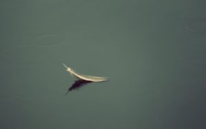 Jakich pytań NIE zadawać kartom Tarota?