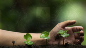 Wyznaczaj intencje przy użyciu Tarota